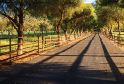 Medicare and Telehealth Visits